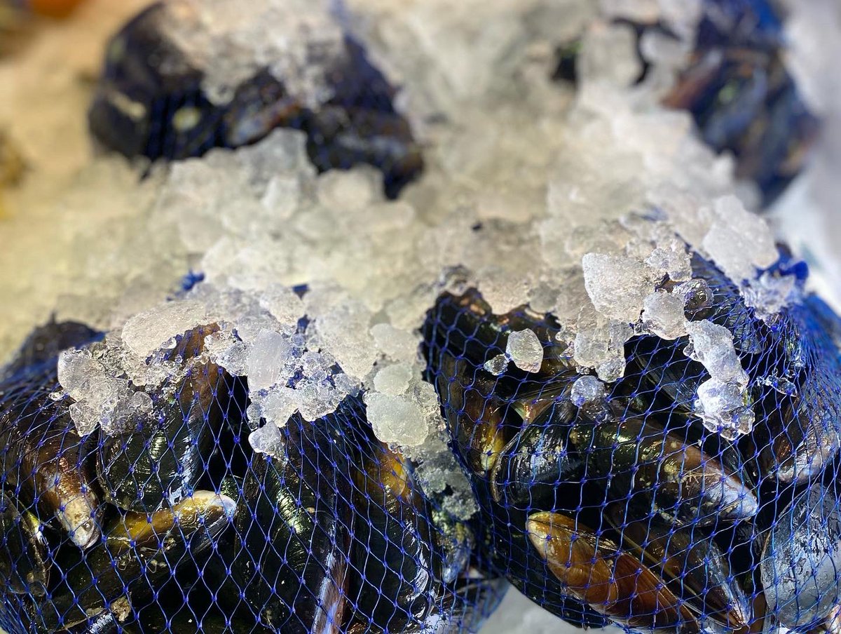 TheEasyFishCo's tweet image. ⚡️Wednesdays flash ⚡️

Fishmongers open 9am - 4pm, restaurants open from 12pm 🐟 #

#theeasyfishco #freshfishdaily #fishmongers #fishrestaurant #seafoodrestaurant #heatonmoor #theheatons #wilmslow #stockport #cheshire #mcrfoodie #instafood #foodies #shoplocal #familybusiness