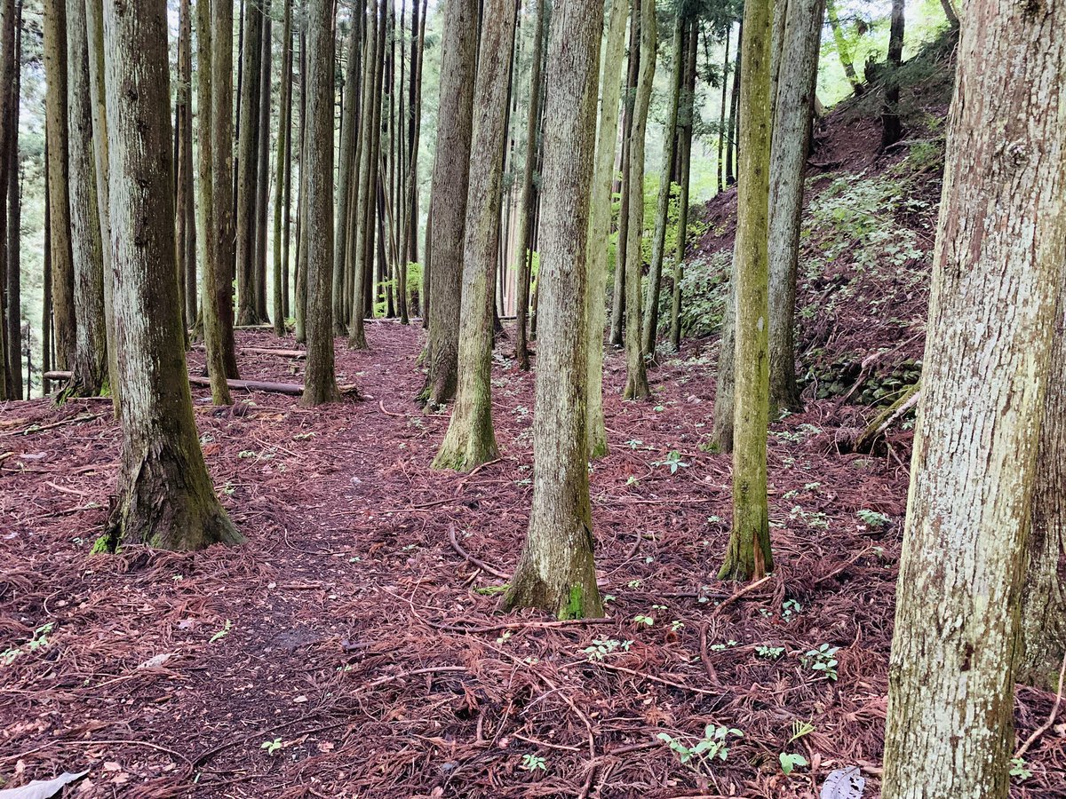 intherockof's tweet photo. 【拡散希望】
東京都唯一の村（島嶼部除く）である檜原村にて、私が所有している家、土地を売却または貸すことができないか検討しています。

檜原村に移住したい、別荘として欲しい、キャンプのできるところが欲しい等考えてらっしゃる方いましたらぜひDM下さい。
詳細をお伝えします。
#檜原村
#移住 https://t.co/JLJ9upni43