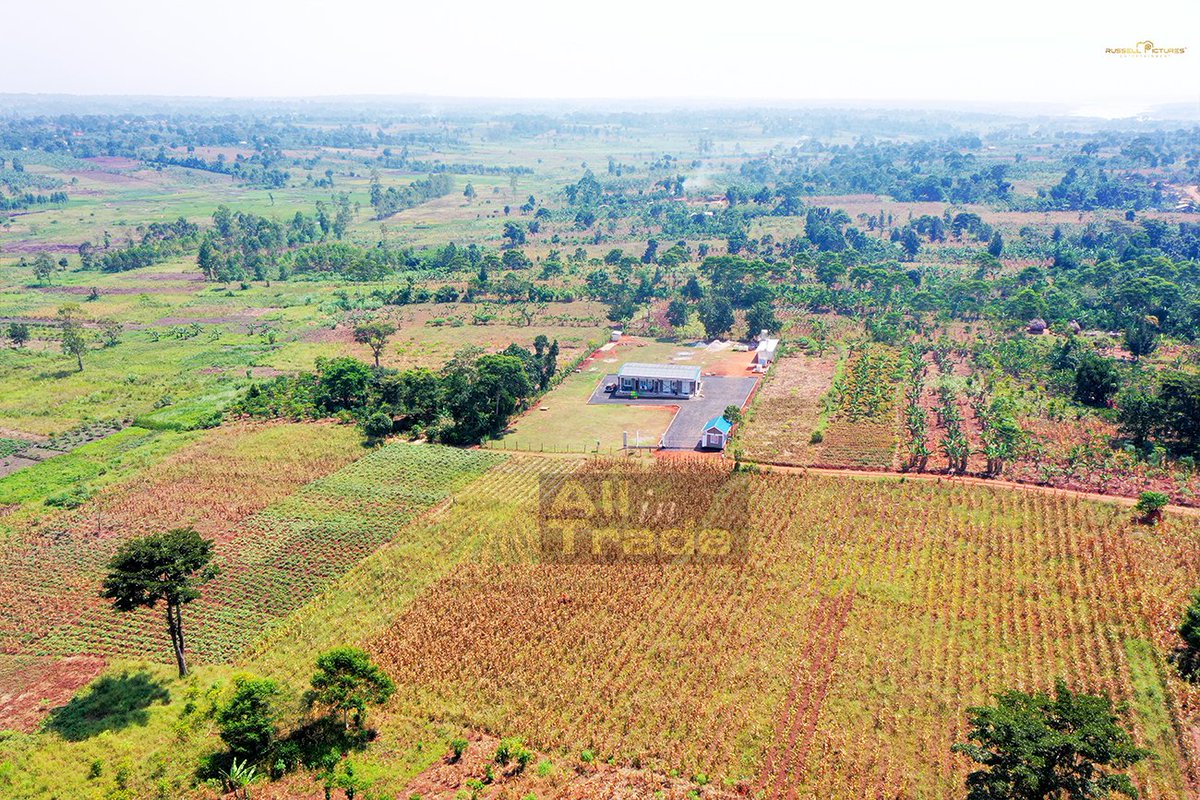 Allintrade's tweet photo. Our state-of-the-art Captive Solar Food Drying Facility!

📸 Take a sneak peek at these stunning aerial shots of our solar food drying facility. A seamless blend of technology and nature

#CaptiveSolarFoodConservation
#SolarFoodDrying #GreenTech #InnovationForGood #SolarEnergy https://t.co/8F4Tjurwr7