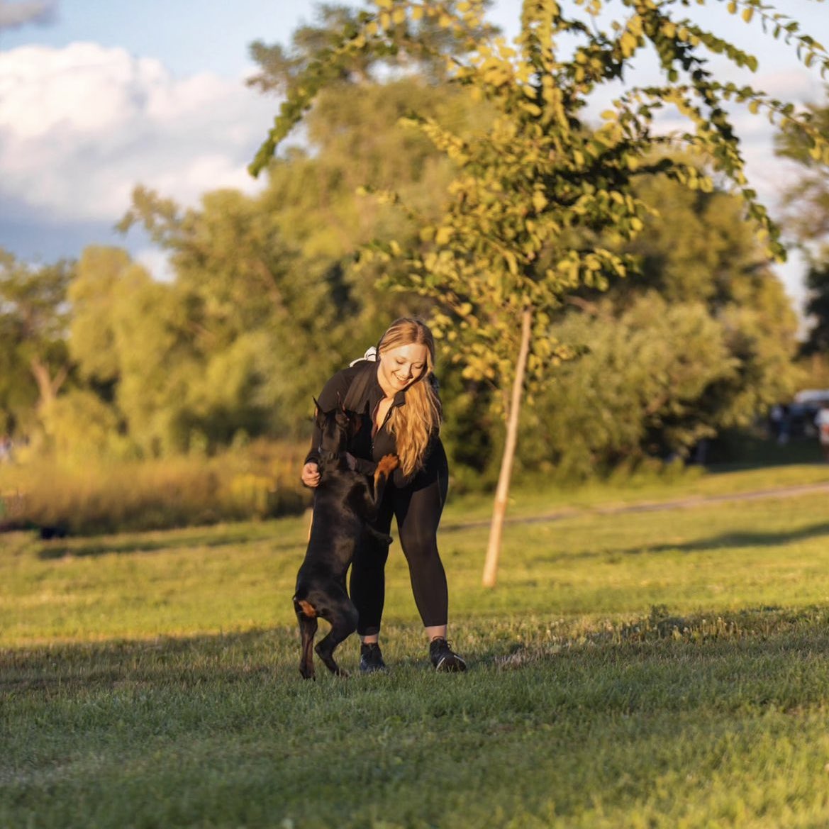 xx_quistie's tweet photo. Haven’t shared my son with y’all yet- Meet Orion 🤍📌 

Full European Doberman product of the two #1 world champion bloodlines from Russia &amp; Europe. 

Stud services will be offered,min of 3k ea when he becomes of age. Bitches selection will be selective. 

Only produce the BEST‼️ https://t.co/jrW6cSMYw3