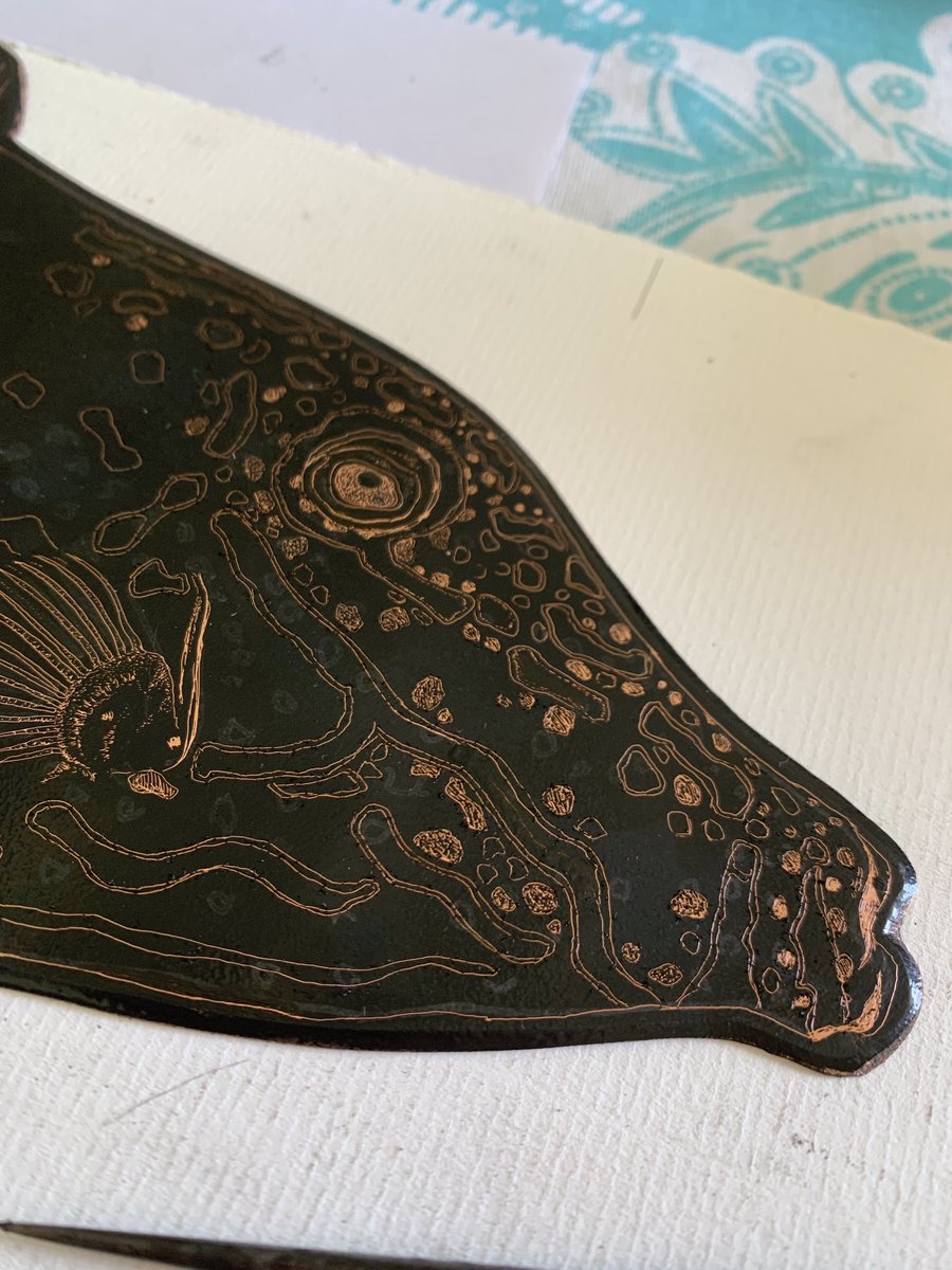 Working on a new etching. It has wonderful names- a Scrawled Filefish or a Scribbled Leatherjacket. Looking forward to showing lots of new prints at Plymouth Seafest in September #seafest #plymouth #marinelife #printmaking