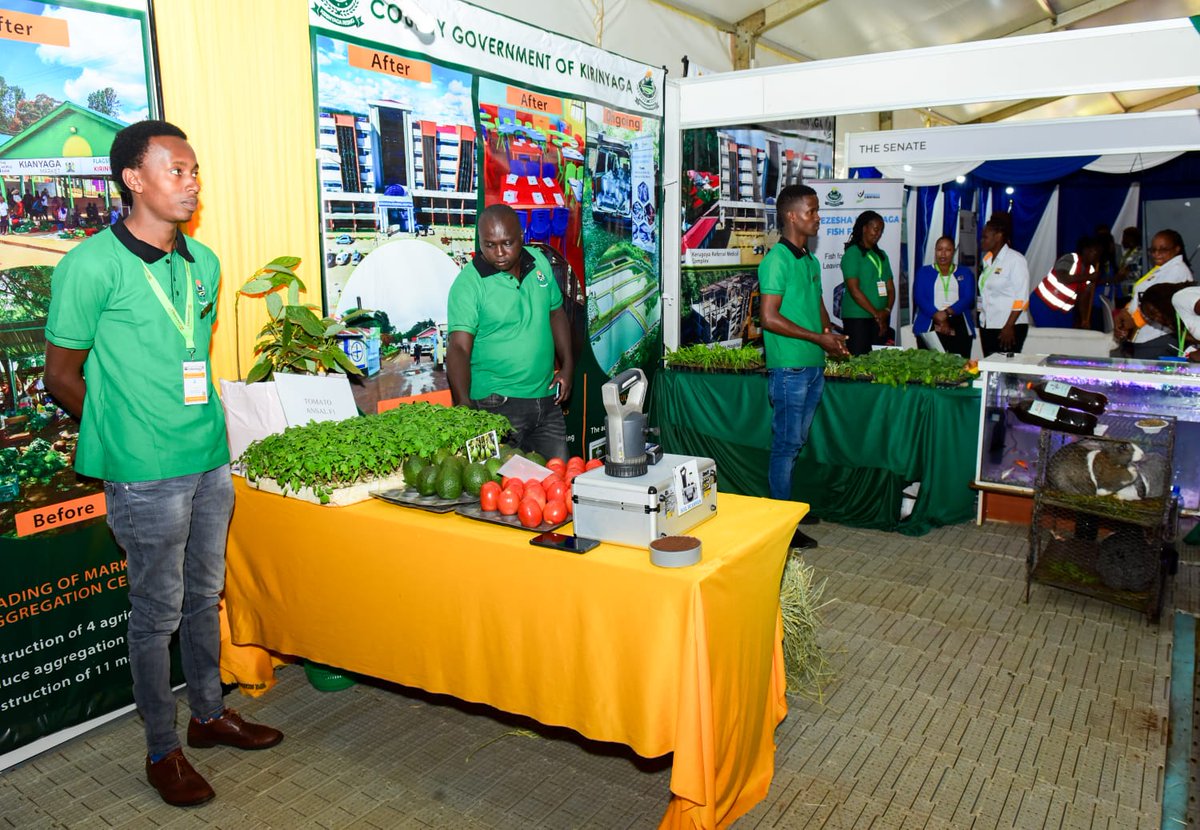 Orina_Augustine's tweet image. Kirinyaga County exhibition stand at the ongoing Devolution Conference in Eldoret. 

Governor Anne Waiguru has been able to transform the County to greater heights. 

#KirinyagaAtDevCon2023 @AnneWaiguru
