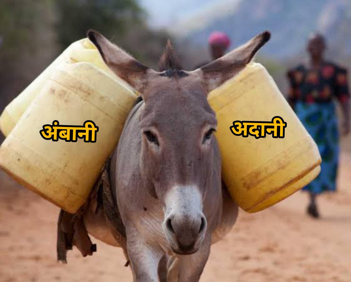 bhiku_007's tweet photo. दोन उद्योगपतींनी पाळलेल्या या गाढवाचे नाव कोणी सांगू शकेल का...? 👇 https://t.co/1KVQ5OGOKf