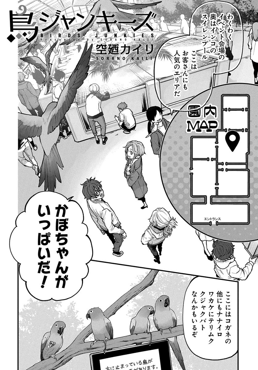 鳥ジャンキーズ - 空廼カイリ / 第39話 | MAGCOMI https://t.co/tfhr8n7TDF 

お待たせしておりすみません…!!!
コガネたくさんのスイレンプールエリア回です! 