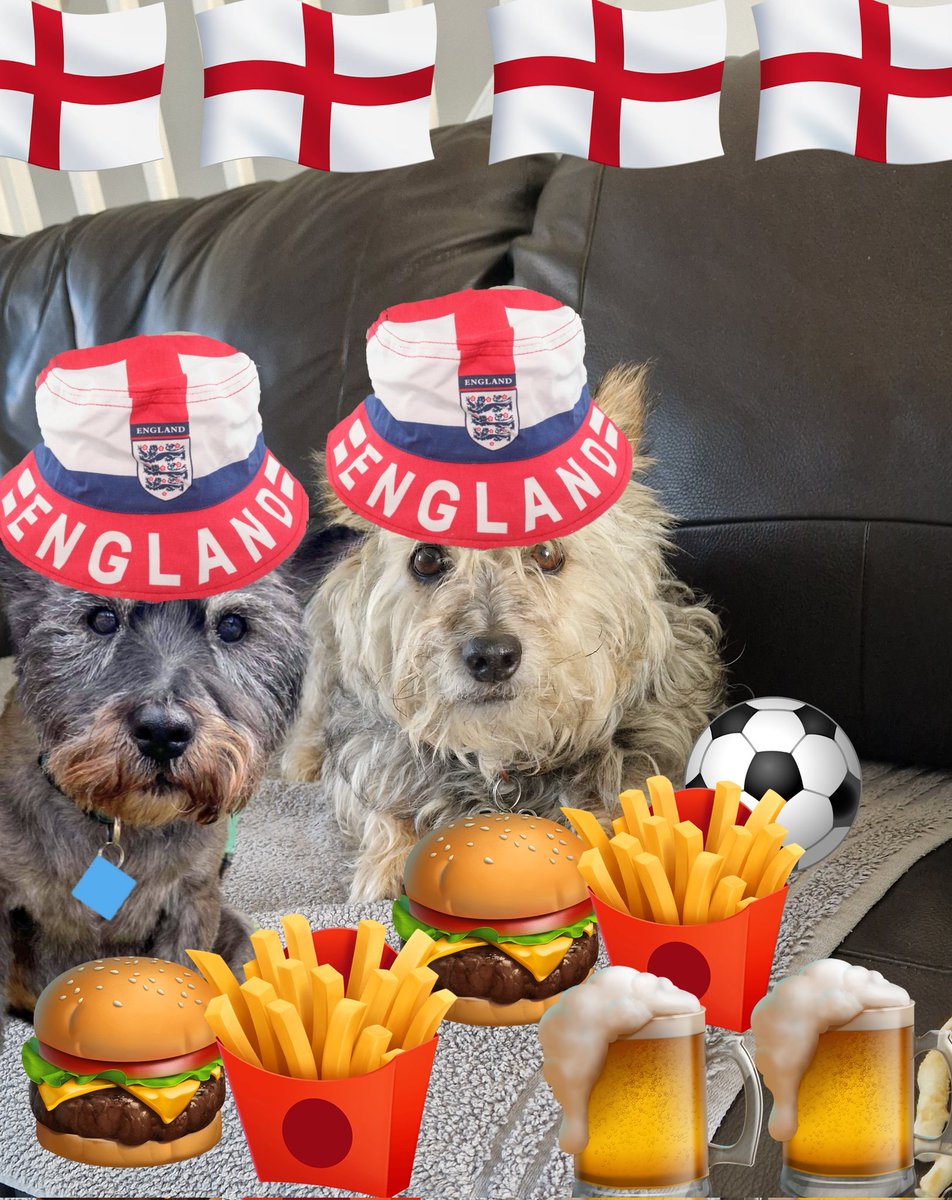 Very clever Muvver 🙄 #ComeOnEngland #ENG @NormanTheCairn #BovverBoys