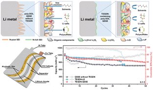 BatteryPapers's tweet photo. Towards durable practical lithium–metal batteries: advancing the feasibility of poly-DOL-based quasi-solid-state electrolytes via a novel nitrate-based additive https://t.co/mhg2yf4JcC https://t.co/mx0U1fJleR