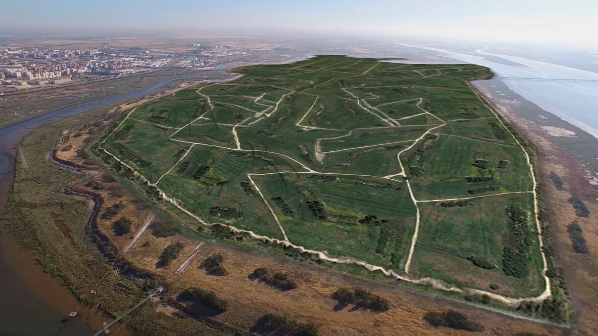 Restore2030's tweet photo. #Restore2030 transformará la Marisma del Odiel gracias a una restauración emblemática que fomentará la biodiversidad autóctona de la zona. ¡Un gran avance hacia una Huelva más sostenible! 🌿🌳   
Más ℹ️ : https://t.co/A722hZkzus https://t.co/t8BtJIk23U
