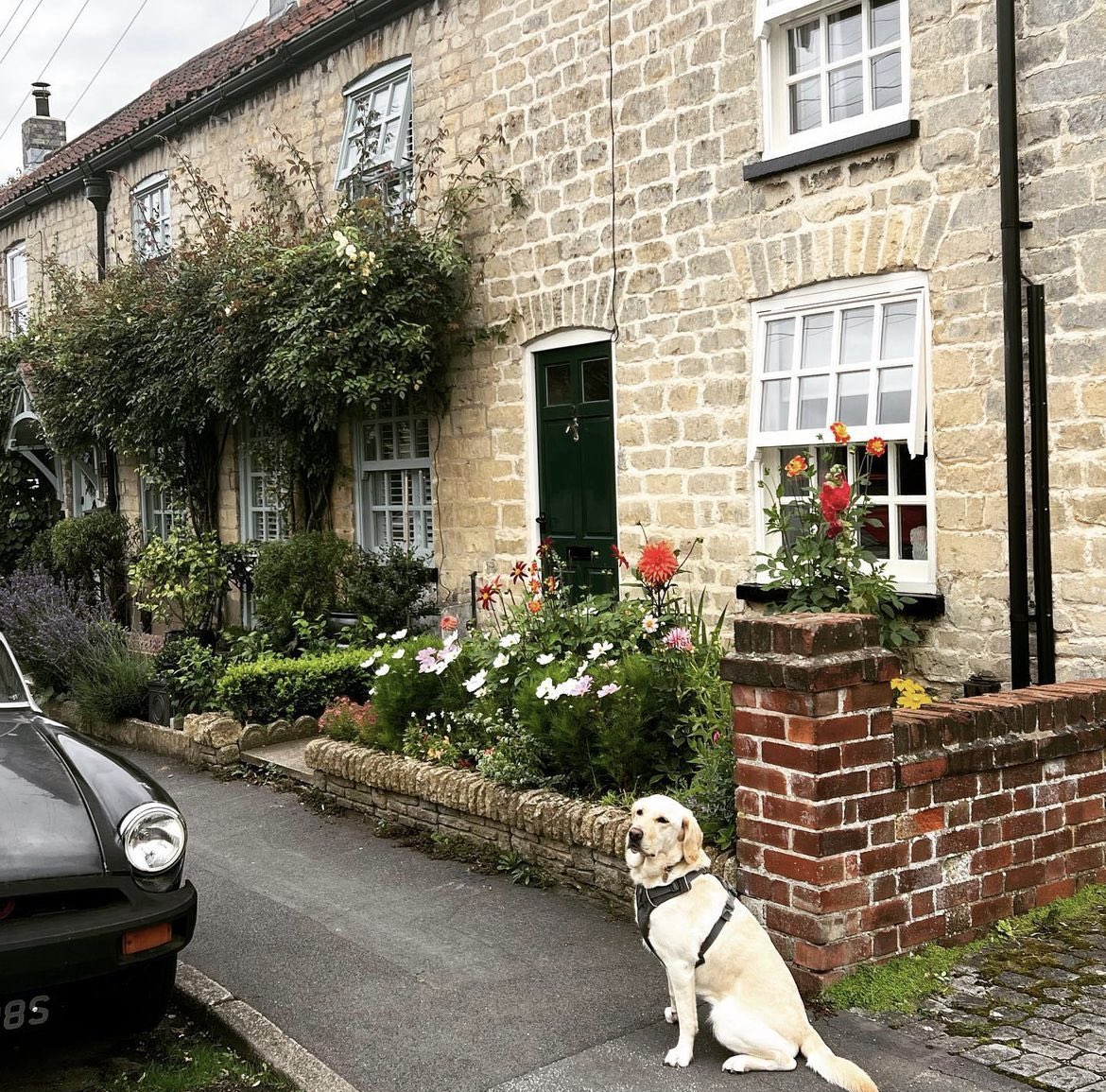 lab_script4122's tweet image. Putting the lab in Lincoln Script Lab