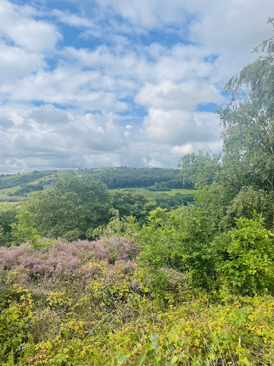 Heidimcurry's tweet image. Am I supposed to fear getting older? Because I don’t! 47 today 🎈🎉starting my birthday with a run..obviously, feeling far better than I did 20 years ago! 
#HappyBirthdayMe #Level47 #BirthdayRun 
@UKRunChat @TeachersRunClub @absolute360