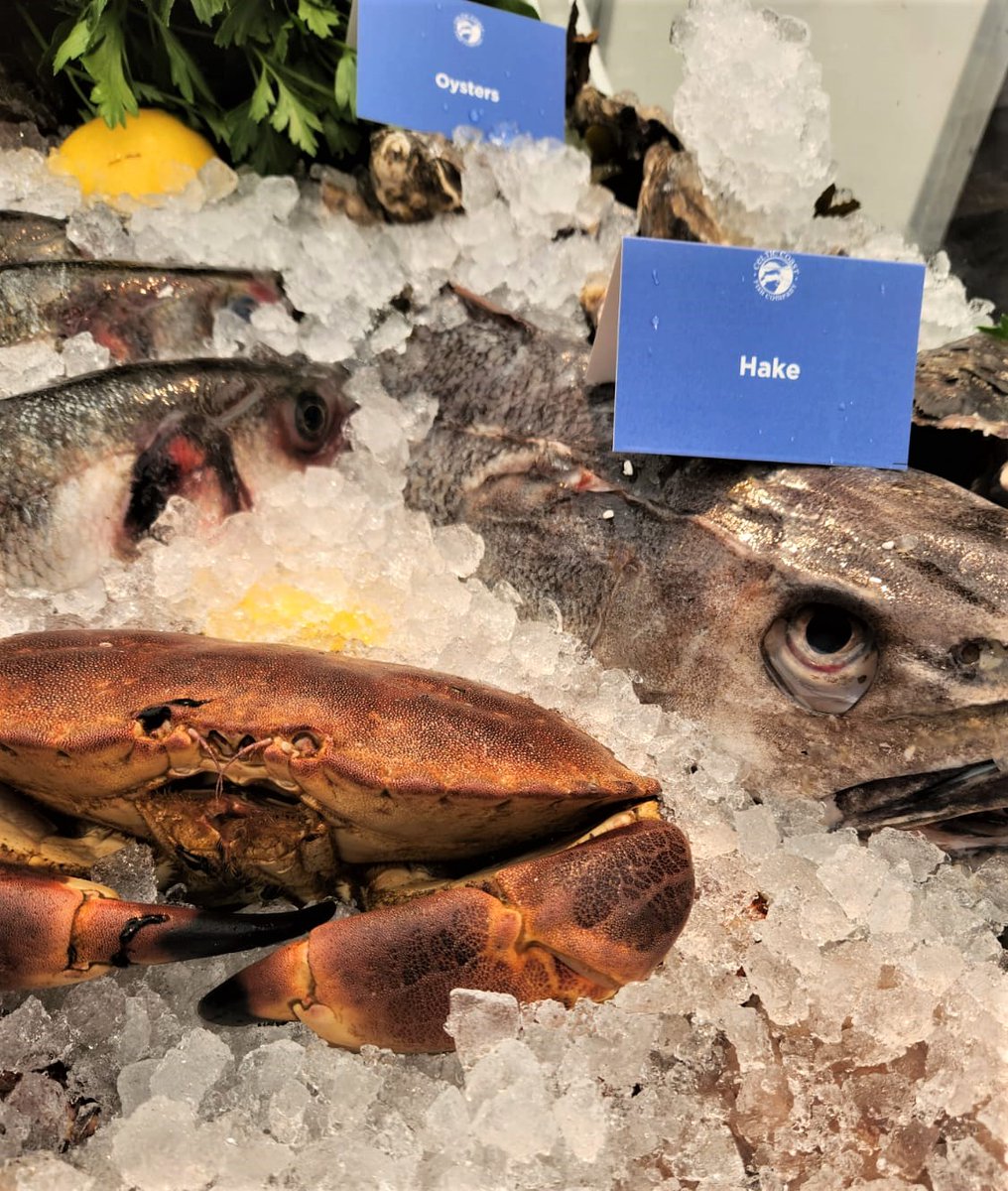 Celtic Coast Fish Co tweet media