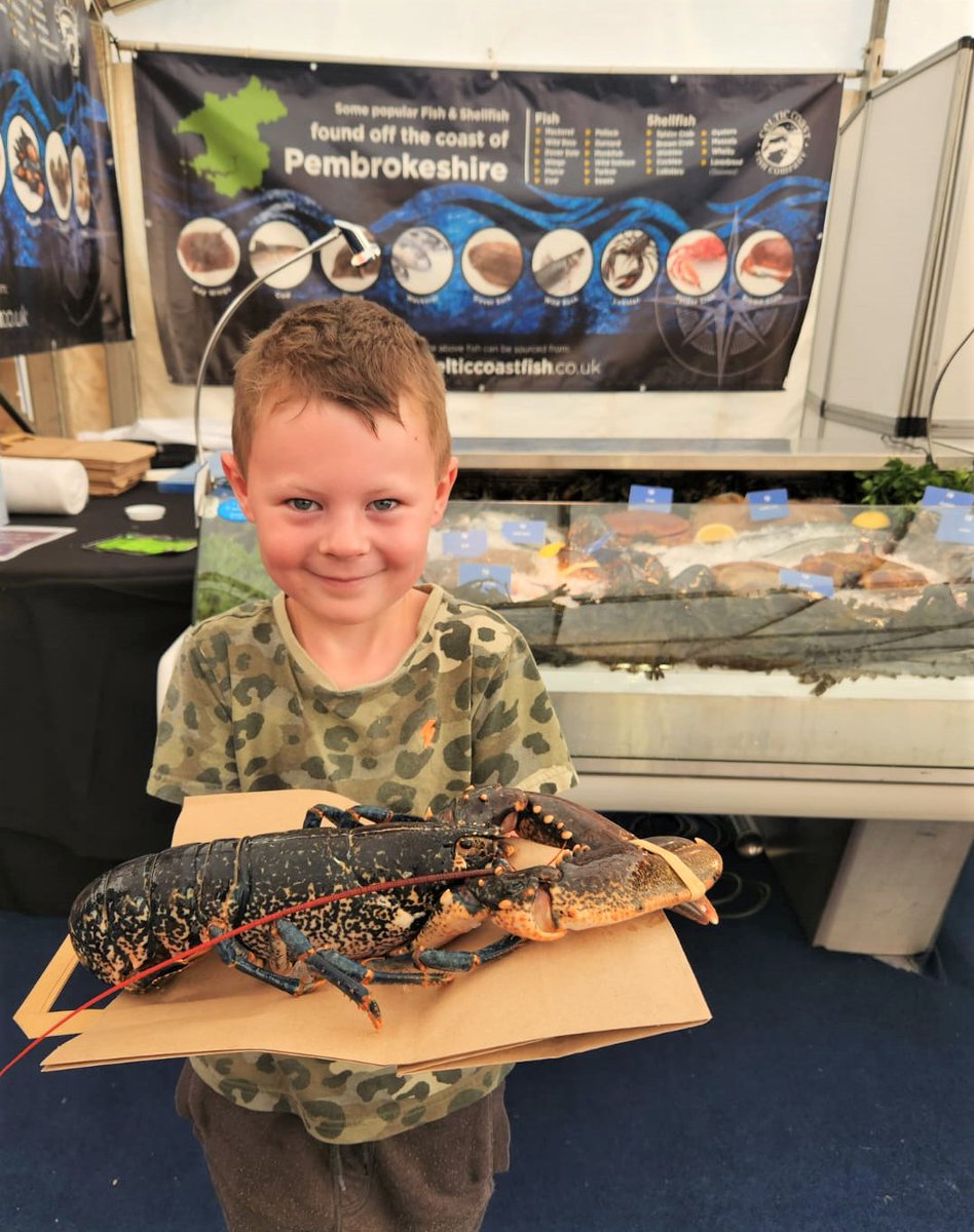 Celtic Coast Fish Co tweet media