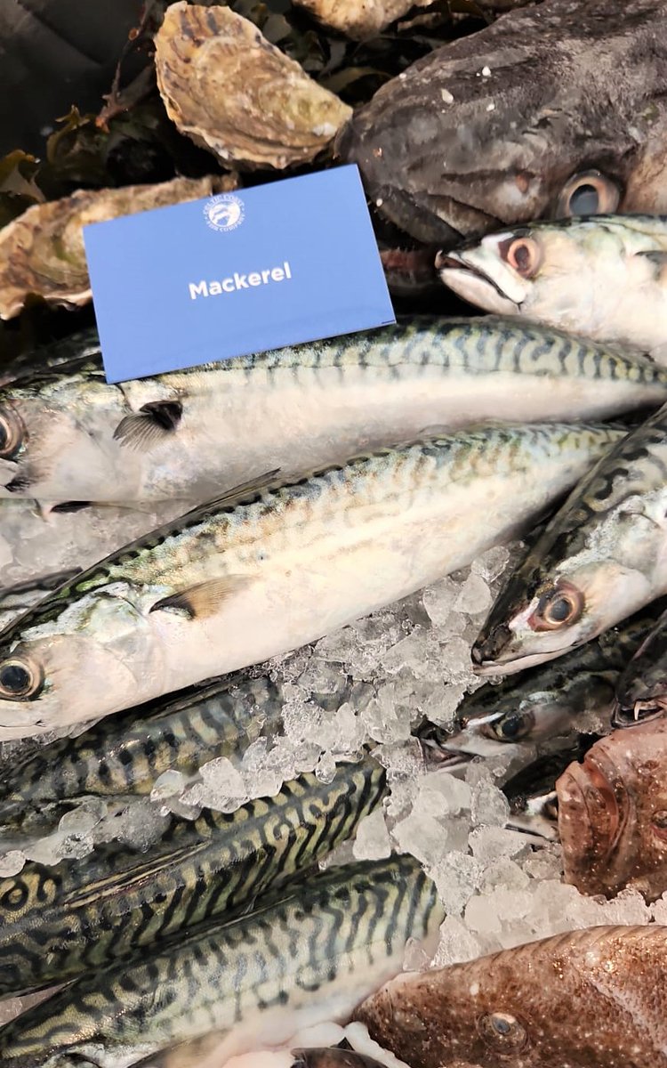 Celtic Coast Fish Co tweet media