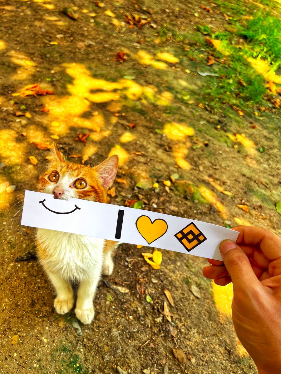 cz_binance's tweet image. Been seeing a lot of cats on my feed from the #BinanceCat contest. Keep them coming!

This one from @salabalamia is cool.
