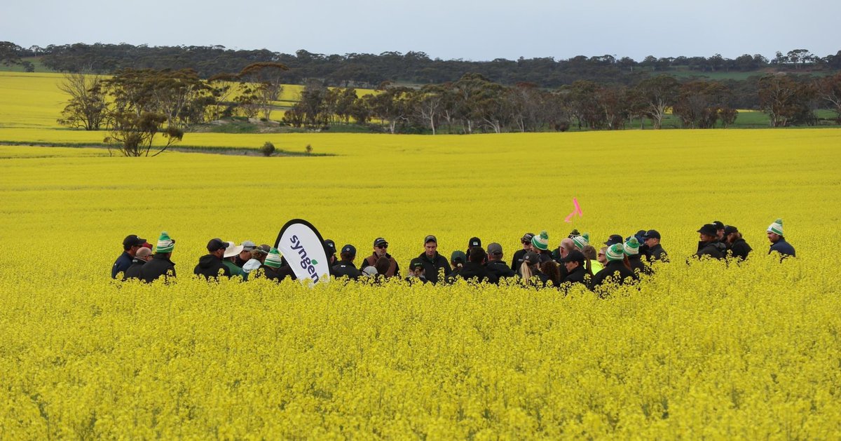 Nutrien Ag Solutions - West AU Region tweet media