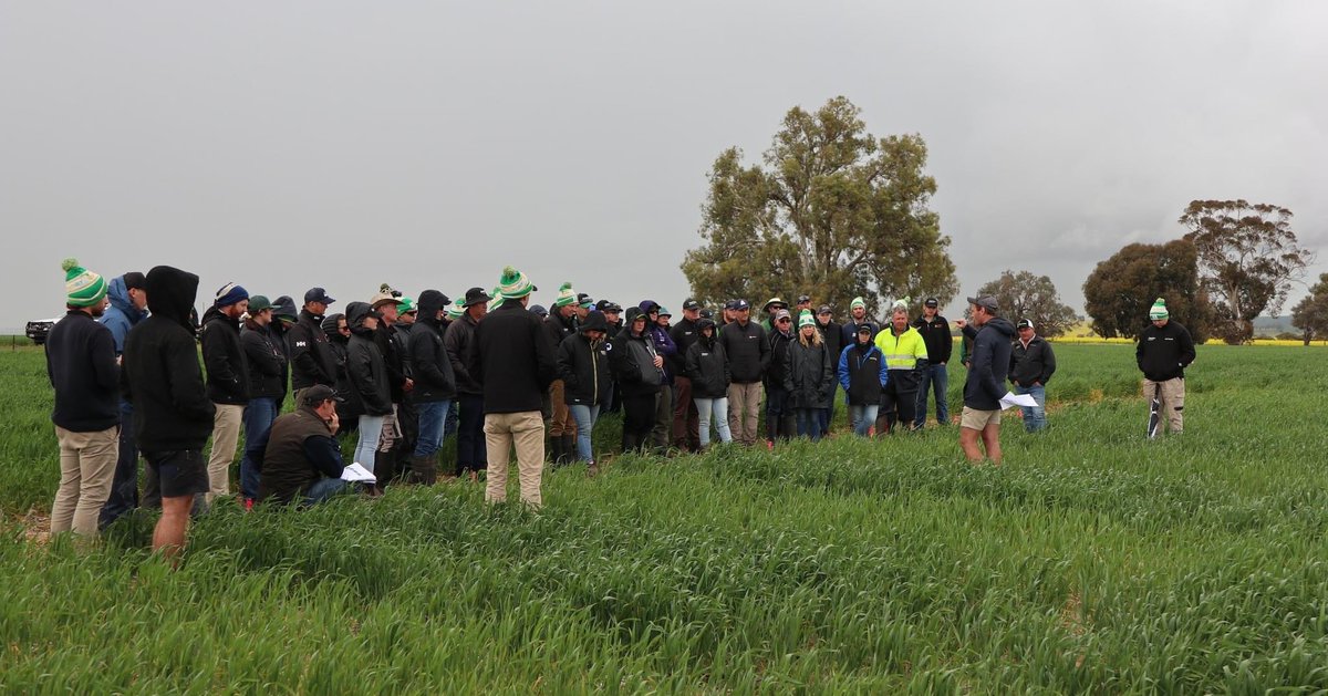 Nutrien Ag Solutions - West AU Region tweet media