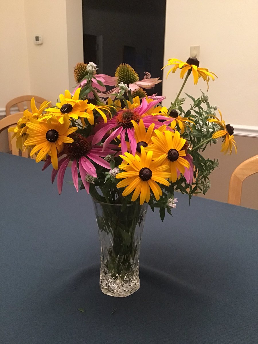 frbobsm's tweet photo. @chicagoschuller And here are ours.  Also from the garden. https://t.co/tQs02tQPOH