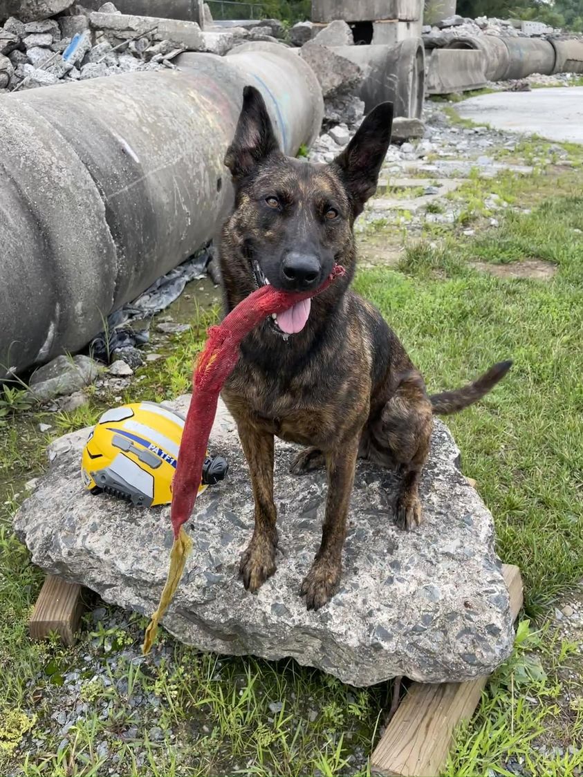 PA Task Force 1 tweet media