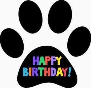 dstlolo2's tweet photo. @TweeetsOfDogs https://t.co/b85cl0KwD2
