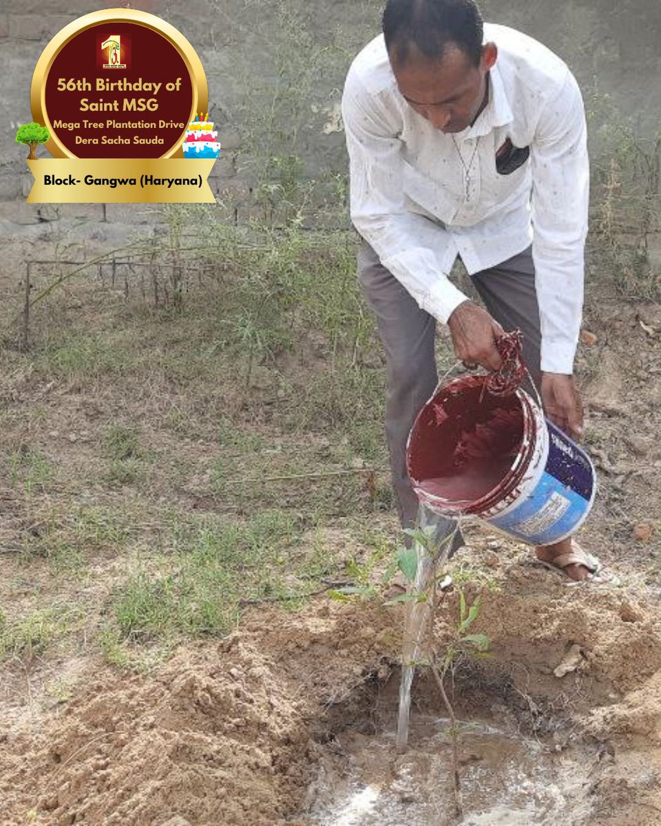 DSSNewsUpdates's tweet photo. पेड़ 🌳लगाओ, पृथ्वी 🌎बचाओ!!
Under the guidance of Revered Saint Dr Gurmeet Ram Rahim Singh Ji Insan, the volunteers of Dera Sacha Sauda are committed to serve Mother Earth passionately! Glimpses of Tree Plantation to celebrate MSG Bhandara by dedicated volunteers! 

#TreePlantation #SaintDrMSG #DeraSachaSauda #56thBirthdayOfSaintMSG #56thBirthdayWithTreePlantation