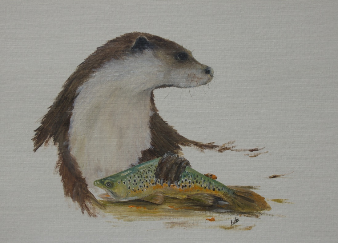 Fishing on the Earn: oil painting of #otter and brown #trout sketched on the River #Earn by #Forteviot near #Perth. @PerthshireWild @scot_nature @ScotWildlife #wildart @WildOtterTrust @TheDailyOtter @Otter_Project Fluid motion in the water & a highly skilled fisher!