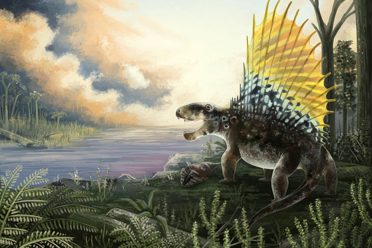 Postdoc position alert#2!🚨 I am hiring 1 postdoc to work on synapsid and early amniote phylogenetics &amp; macroevolution in my lab <a href="/Princeton/">Princeton University</a>. Reviews start on Oct1. Please share and contact me if you have any questions [1/2] 
puwebp.princeton.edu/AcadHire/apply…