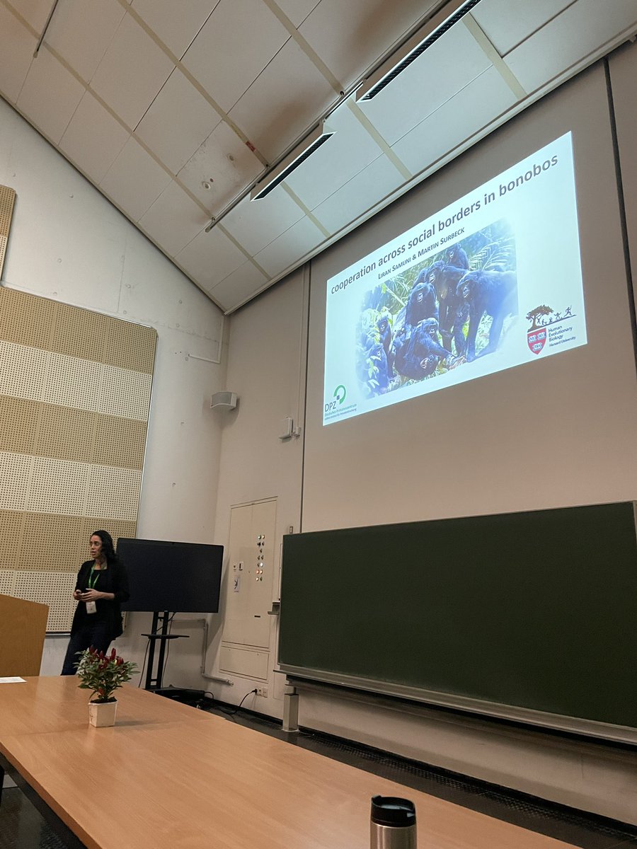 Viviana Di Pietro (@dipietroviviana) on Twitter photo Next talk, we start with primates! <a href="/LirSamuni/">Liran Samuni</a> is gonna talk about cooperation across social borders in bonobos.
#Behaviour2023 <a href="/HelenaMFerreir2/">Helena M. Ferreira</a> <a href="/ri_caliari/">Ricardo Caliari Oliveira</a> Next talk, we start with primates! <a href="/LirSamuni/">Liran Samuni</a> is gonna talk about cooperation across social borders in bonobos.
#Behaviour2023 <a href="/HelenaMFerreir2/">Helena M. Ferreira</a> <a href="/ri_caliari/">Ricardo Caliari Oliveira</a>