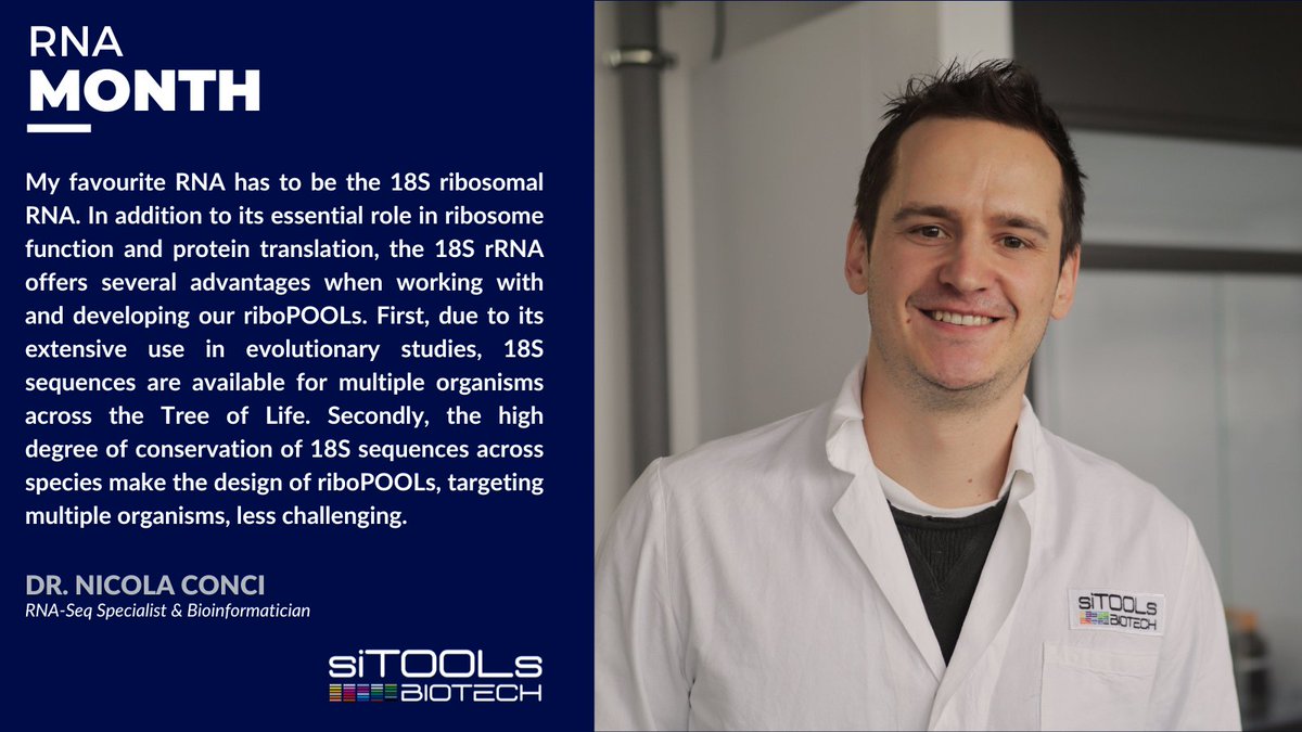 siTOOLsBiotech's tweet photo. Next up we asked Dr. Nicola Conci, our #RNASeq specialist & bioinformatician, about his favorite RNA molecule.π #RNAmonth https://t.co/BcOw07Op3j