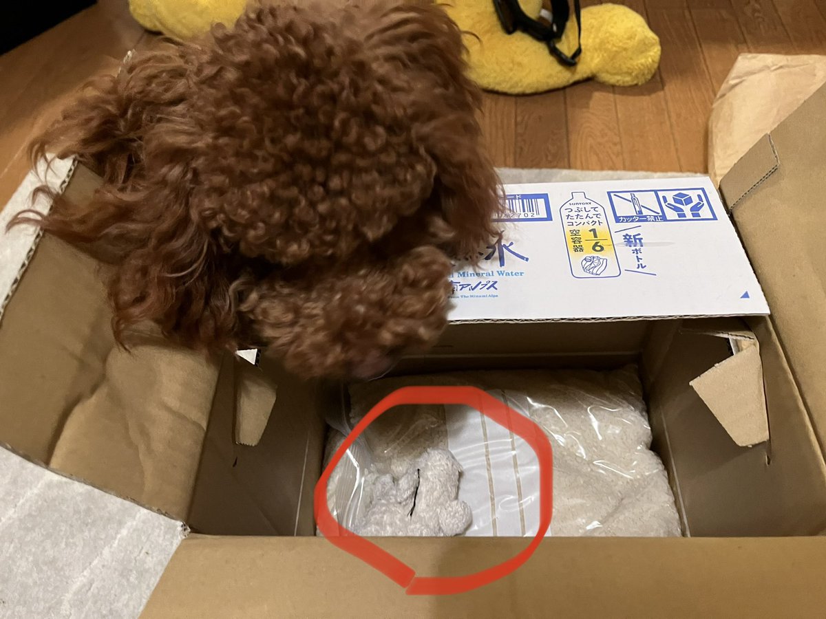 aamf0706's tweet photo. 沖縄の娘にお米を送る荷造り中。孫のるいにあげたいらしく、自分のおもちゃ🐖を入れる��。何度出しても入れてくる（笑） https://t.co/k0nA2H1RdM