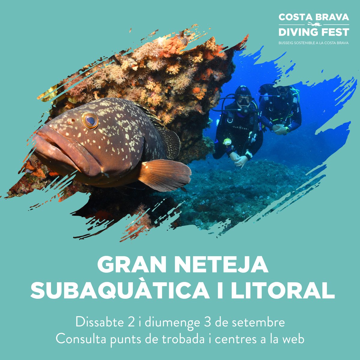 CostaBravaSub's tweet photo. 🌊GRAN NETEJA SUBAQUÀTICA I LITORAL. Suma’t a la neteja submarina més gran de la Costa Brava! + INFO: https://t.co/aACbQSp6i0
@galpcostabrava
#costabravasub #costabrava #busseig #immersions #galp #galpcostabrava #costabravadivingfest #divingfest #busseigsostenible https://t.co/IFeBaVJE4Z