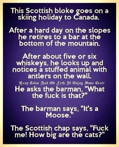 Anthea🌼🌷🇬🇧🏴󠁧󠁢󠁥󠁮󠁧󠁿 tweet media