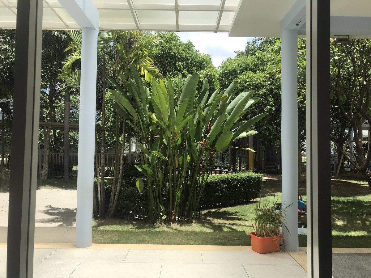 Beyond excited to join the EY team at my new school. One week with our learners and I see why they are so happy here. #environmentasthirdteacher #earlyyears #Cambodia
