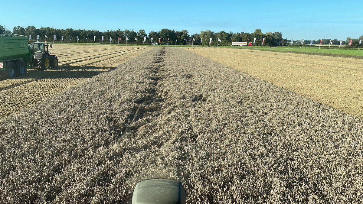 Tarweoogst 2023 zit erop