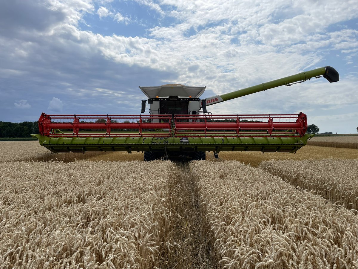 Novifarm tweet media