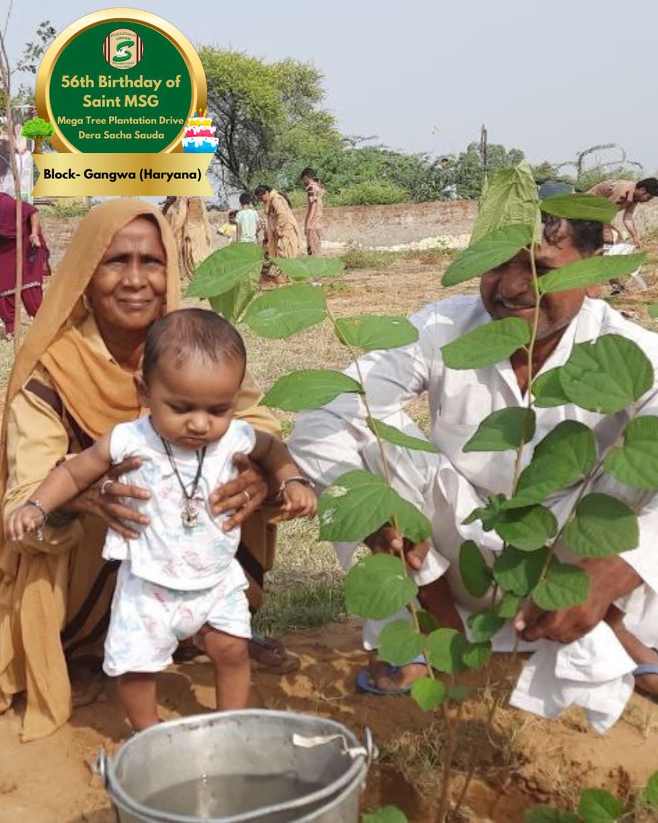 GreenSwelfares's tweet photo. Following the teachings of Revered Saint Dr @Gurmeetramrahim Singh Ji Insan, the volunteers of Dera Sacha Sauda are committed to serve Mother Earth passionately! Glimpses of Tree Plantation to celebrate MSG Bhandara by dedicated volunteers! 

#TreePlantation #SaintDrMSG #DeraSachaSauda #56thBirthdayOfSaintMSG #56thBirthdayWithTreePlantation