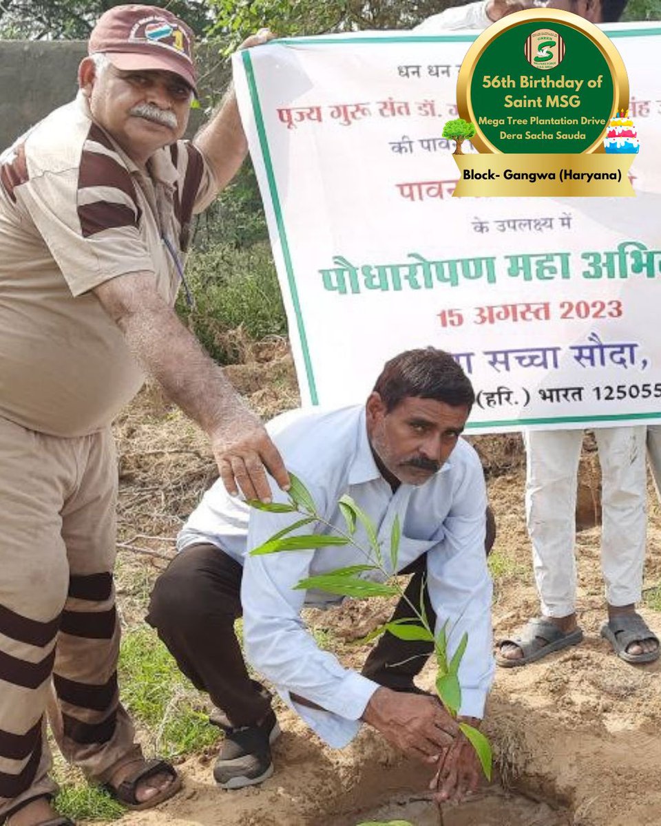 GreenSwelfares's tweet photo. Following the teachings of Revered Saint Dr @Gurmeetramrahim Singh Ji Insan, the volunteers of Dera Sacha Sauda are committed to serve Mother Earth passionately! Glimpses of Tree Plantation to celebrate MSG Bhandara by dedicated volunteers! 

#TreePlantation #SaintDrMSG #DeraSachaSauda #56thBirthdayOfSaintMSG #56thBirthdayWithTreePlantation