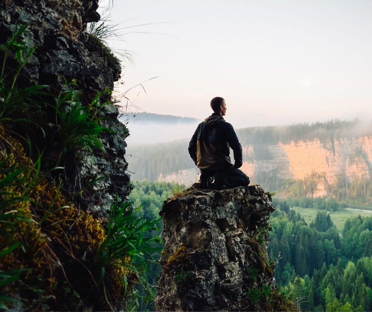 Charlie Naebeck tweet media