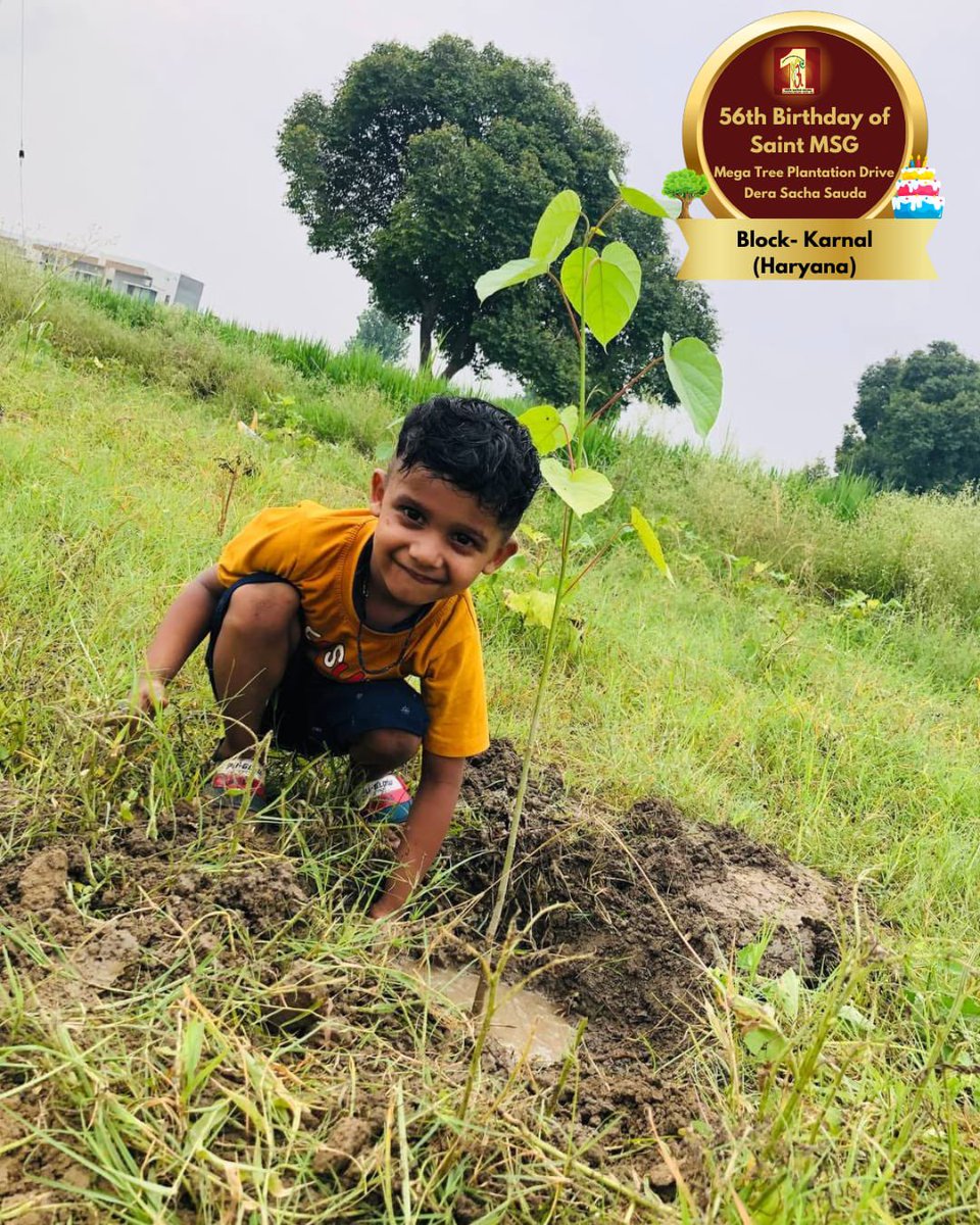 DSSNewsUpdates's tweet image. Let&apos;s create a world that is greener,safe and healthy by planting saplings and nurturing them! Glimpses of volunteers celebrating MSG Bhandara by planting more trees.

#TreePlantation #SaintDrMSG #DeraSachaSauda #56thBirthdayOfSaintMSG #56thBirthdayWithTreePlantation