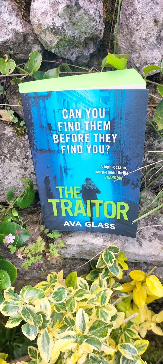 karlou's tweet photo. Huge thanks to @PenguinUKBooks @cstone for sending me this gorgeous advance copy of #TheTraitor by @AvaGlassBooks. I'm really looking forward to reading and reviewing it for the blog tour next month. #AliasEmma #FindThemBeforeTheyFindYou https://t.co/Z0cO7y2Rdv