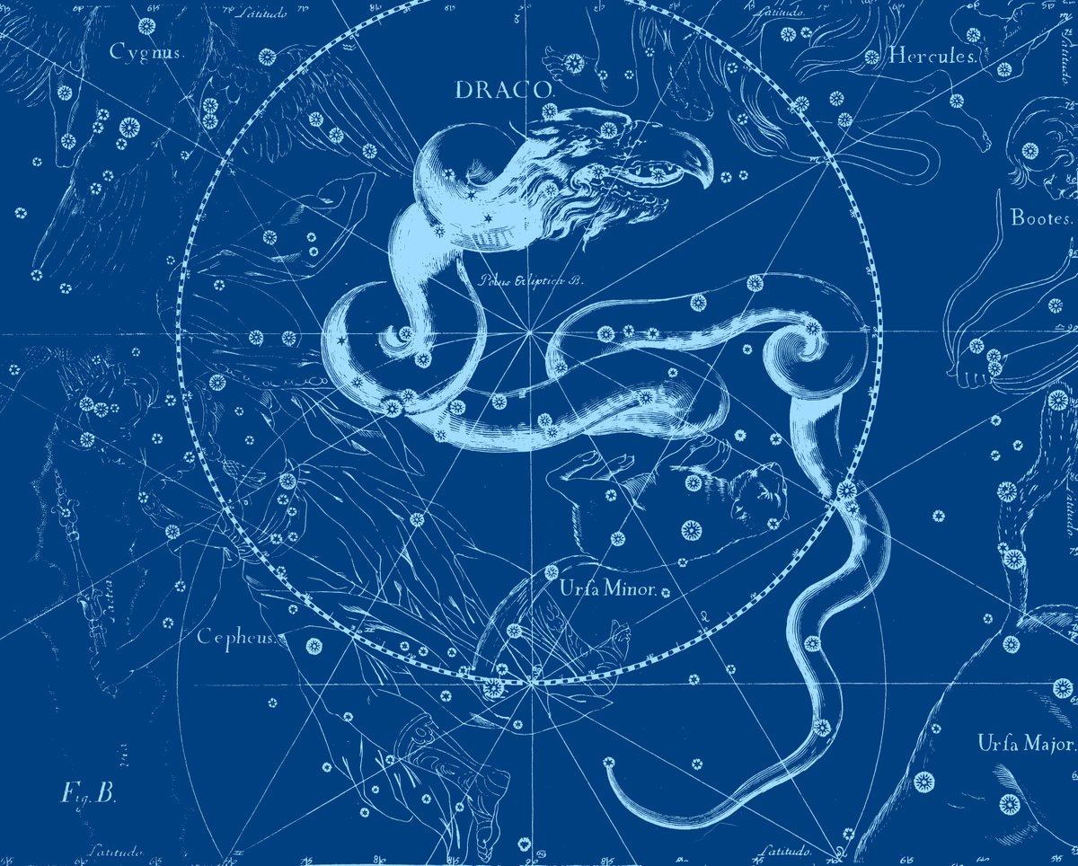 Did you know that #dragons are also present in the world of #astronomy and #constellations?✨

There are cultures in which constellations have been associated with figures of these creatures🐉

An example is the constellation of Draco, in the northern hemisphere🌏🔭 #HungryDragon