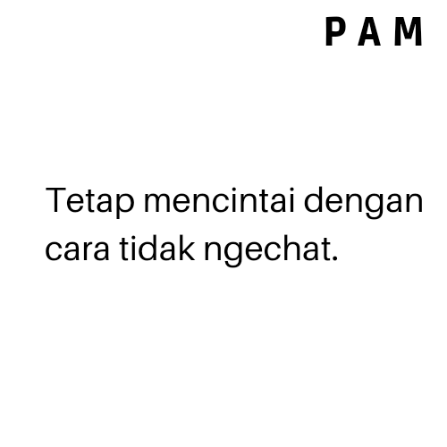 P A M tweet media