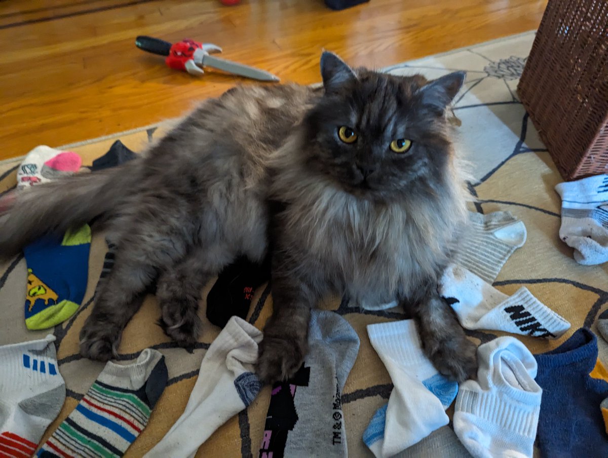 LStutzbach's tweet photo. @CatsOfYore Howl also helps in this exact same way https://t.co/5bwsKpR6jm