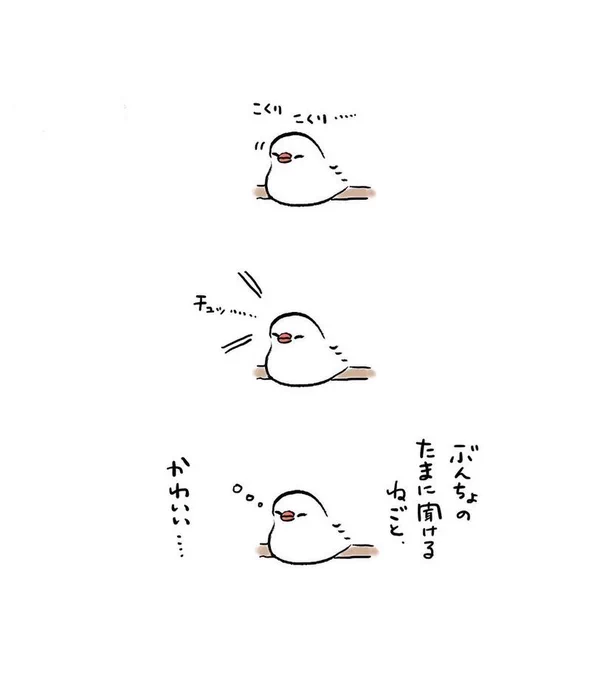 明日も200021時にイラスト投稿します🐦💨
『ぶんちょの寝言』(再掲) 