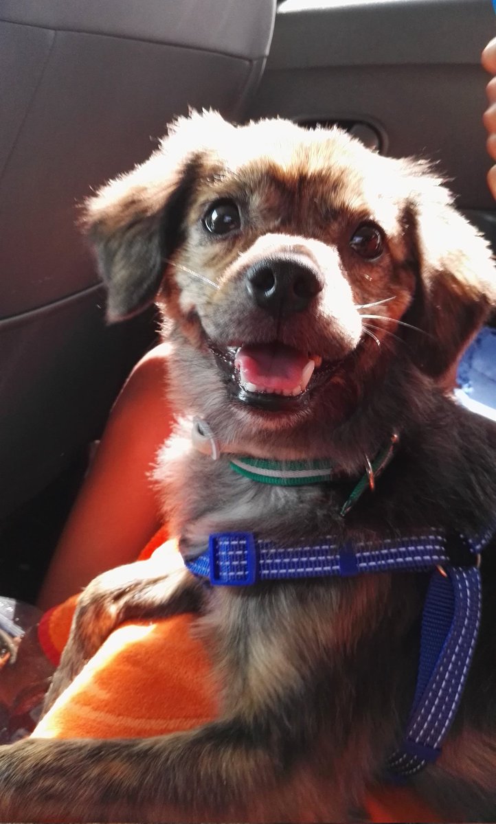 macalonso99's tweet photo. Appreciation post for my baby, the best boy 🩷 https://t.co/0hlDTXhO8N