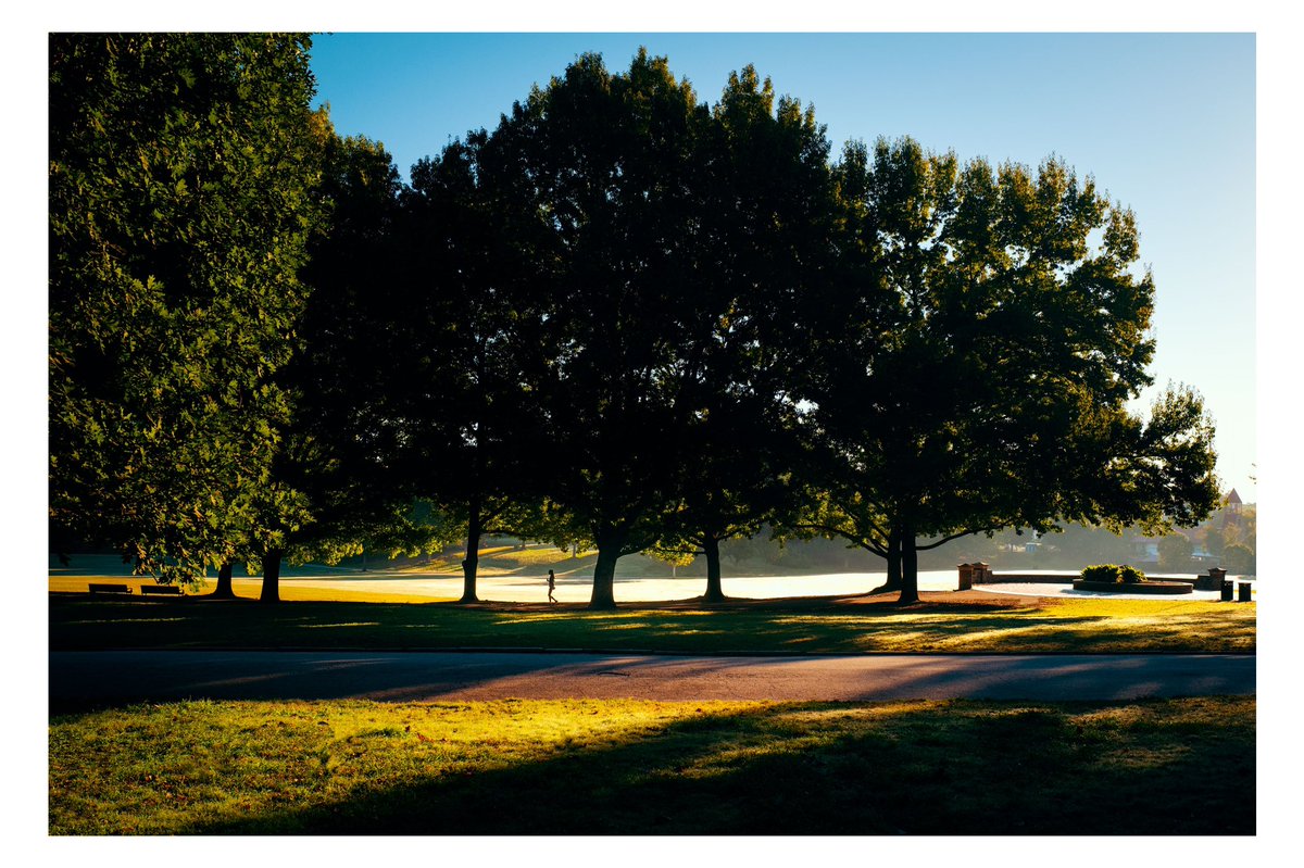 EvanRanft's tweet photo. Pictures I made on my morning walk https://t.co/gI0zxPxppE