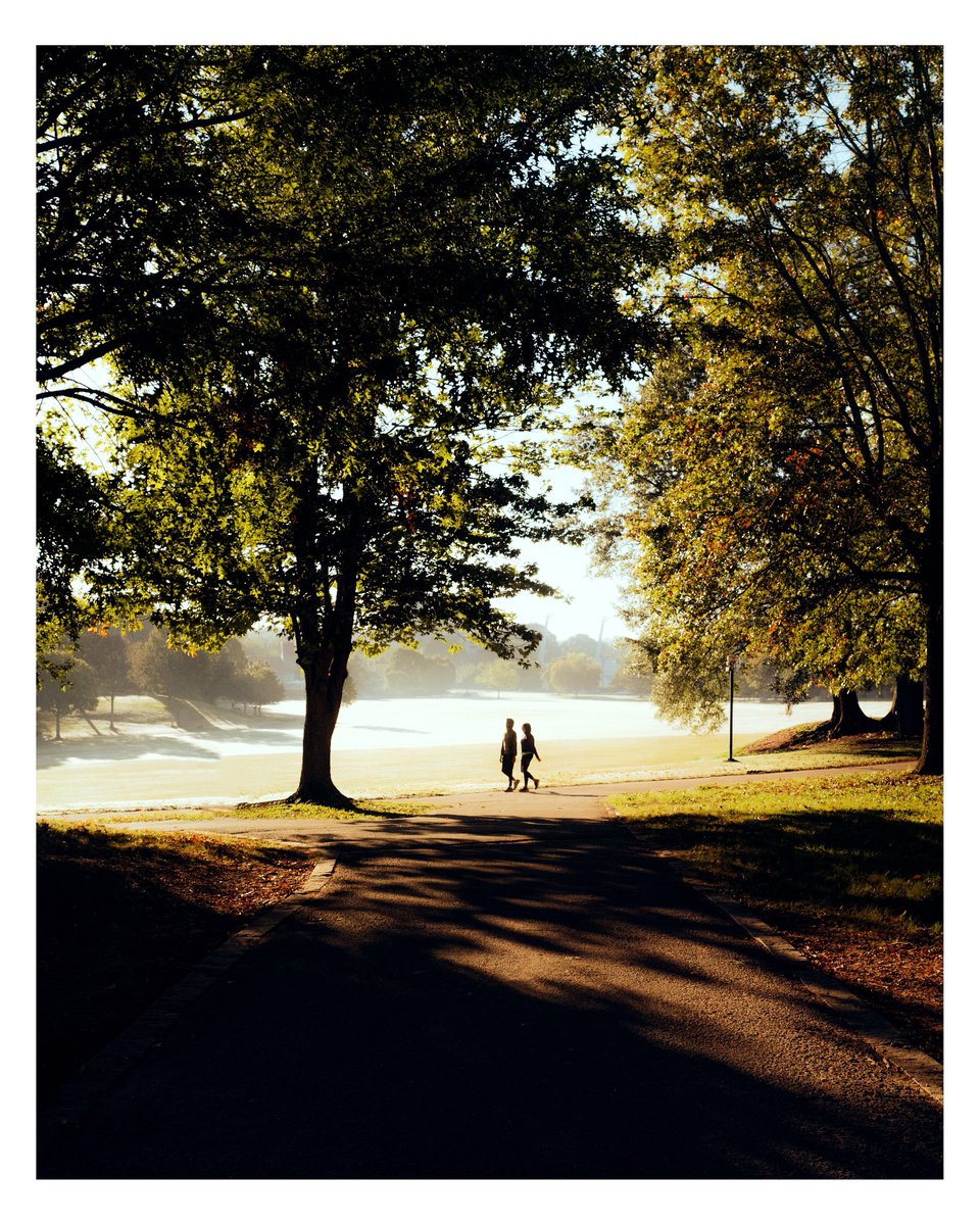 EvanRanft's tweet photo. Pictures I made on my morning walk https://t.co/gI0zxPxppE