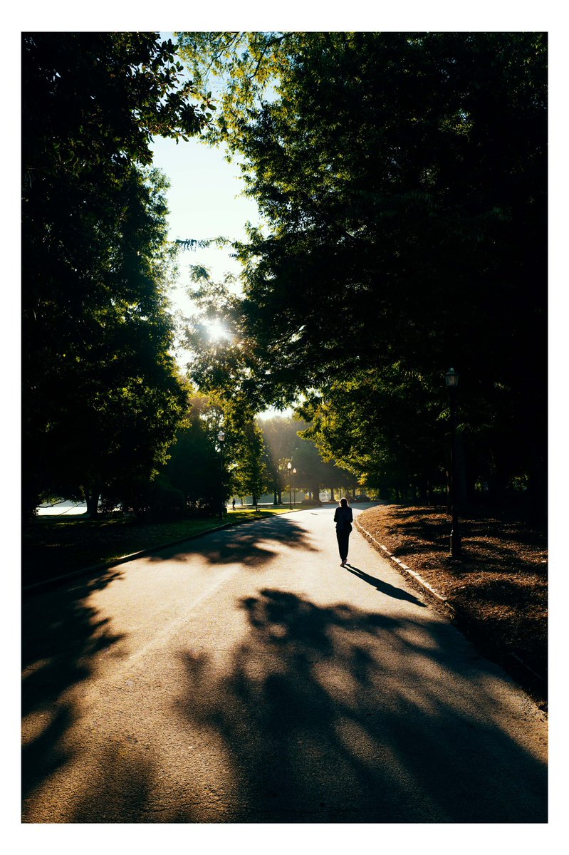 EvanRanft's tweet photo. Pictures I made on my morning walk https://t.co/gI0zxPxppE