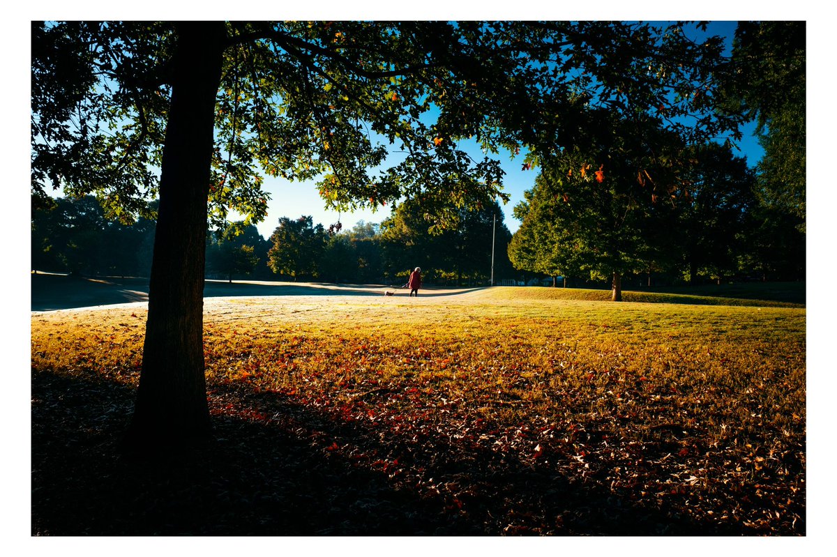 EvanRanft's tweet photo. Pictures I made on my morning walk https://t.co/gI0zxPxppE