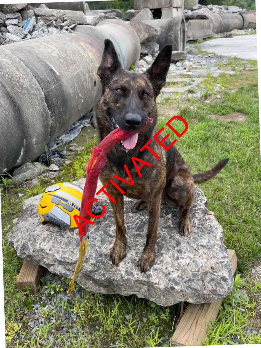 PA Task Force 1 tweet media