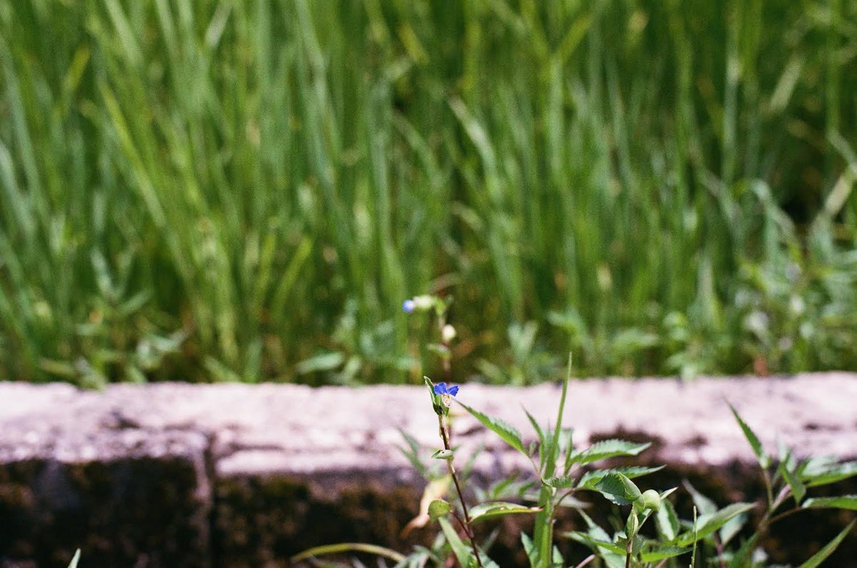 #hobby502  #nikkor50mm
#nikonfm2  #nikonfマウント 
#フィルムカメラ
#フィルム写真  #タミヤ #京商
#スコーピオン  #マイティフロッグ