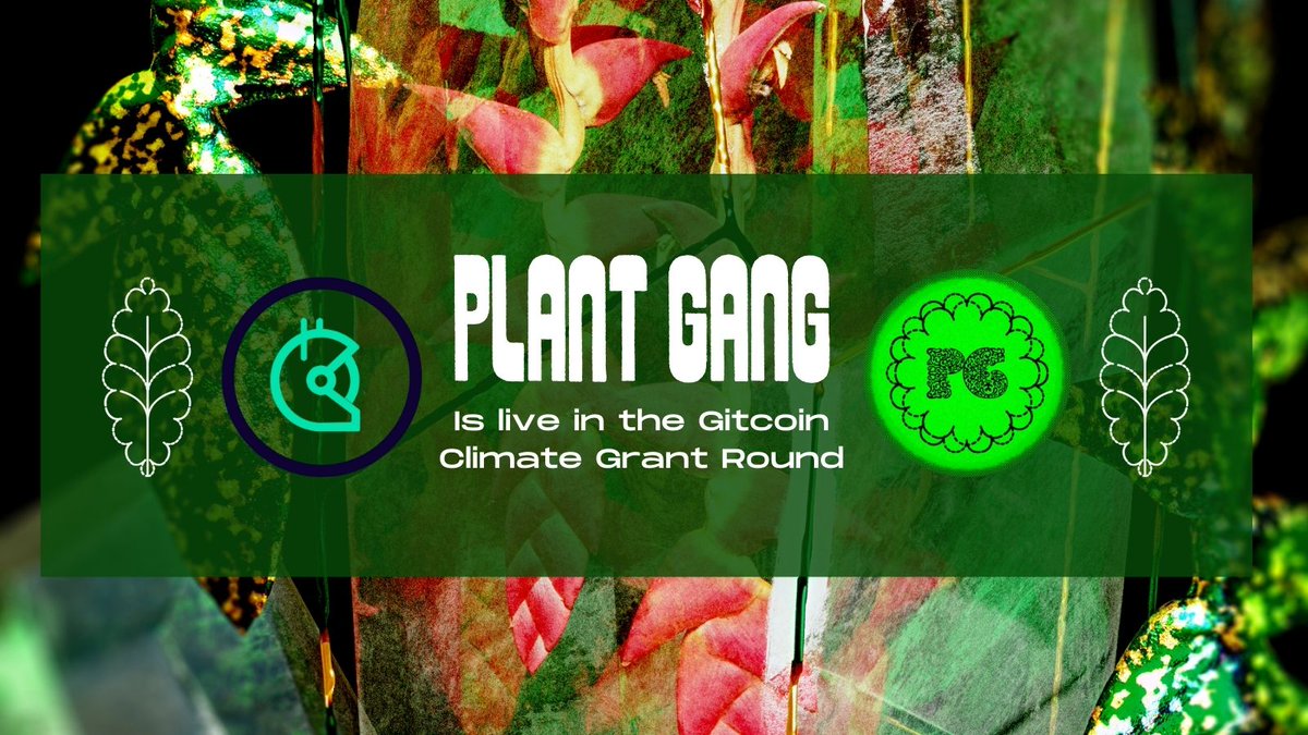 PLANTGANGxyz's tweet photo. Our @gitcoin #GG18 Grant is live! Please consider supporting our mission 💚🌿

Funds will go towards running community scanning competitions to reward citizen scientists for immortalizing rare moments of global biodiversity! https://t.co/diUp8IIgzs